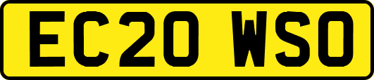 EC20WSO