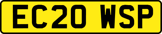 EC20WSP