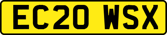 EC20WSX