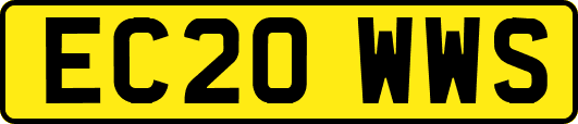 EC20WWS