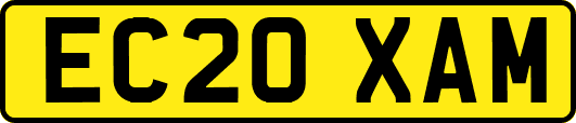 EC20XAM