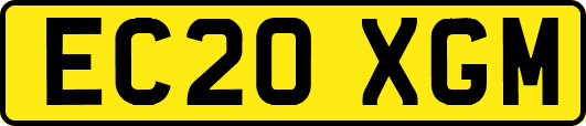 EC20XGM