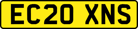 EC20XNS