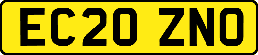 EC20ZNO
