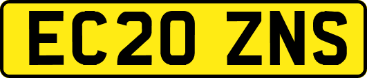 EC20ZNS