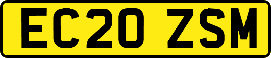 EC20ZSM