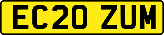 EC20ZUM
