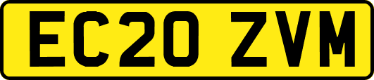 EC20ZVM