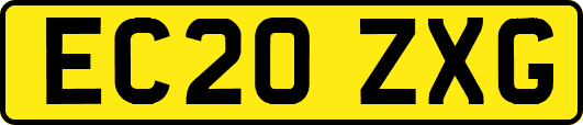 EC20ZXG