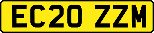 EC20ZZM