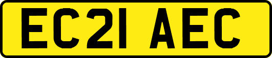 EC21AEC