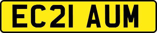 EC21AUM