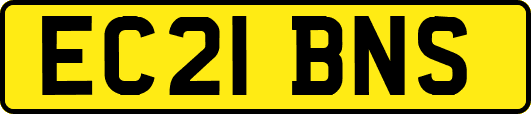 EC21BNS