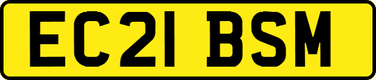 EC21BSM