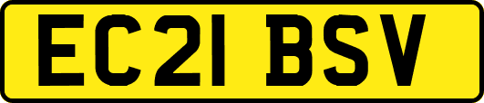 EC21BSV