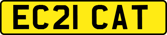 EC21CAT