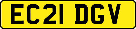 EC21DGV