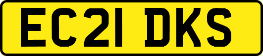 EC21DKS