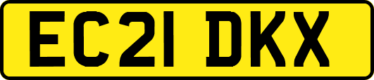 EC21DKX