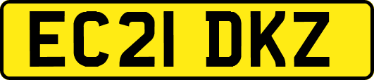 EC21DKZ