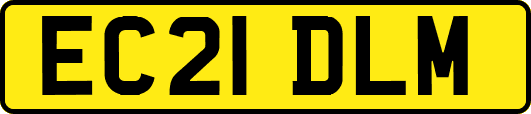EC21DLM