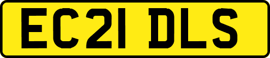 EC21DLS