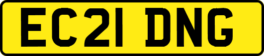 EC21DNG