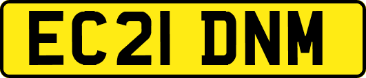 EC21DNM