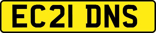 EC21DNS