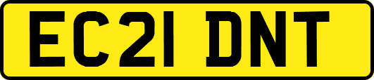 EC21DNT