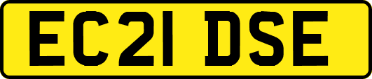 EC21DSE