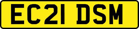 EC21DSM