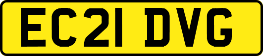 EC21DVG