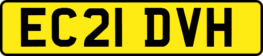 EC21DVH