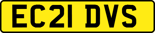 EC21DVS