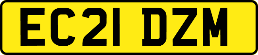 EC21DZM