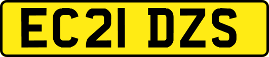 EC21DZS