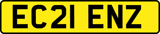 EC21ENZ
