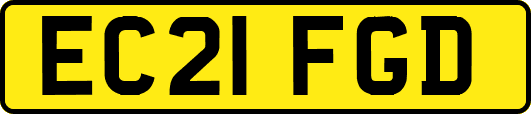 EC21FGD