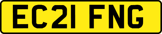 EC21FNG