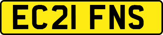 EC21FNS