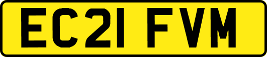 EC21FVM