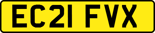 EC21FVX