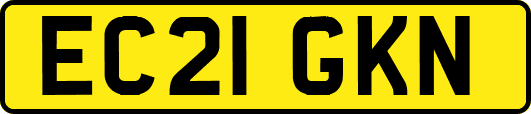 EC21GKN