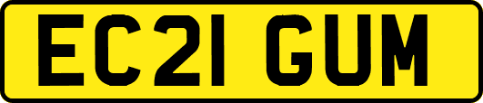 EC21GUM