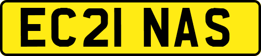 EC21NAS