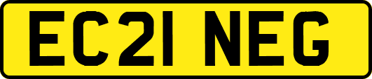 EC21NEG