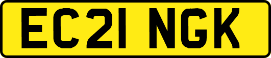EC21NGK