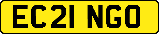 EC21NGO