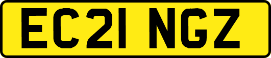 EC21NGZ